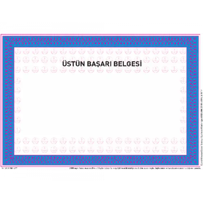 Okul Öğrenci Üstün Başarı Belgesi MEB Onaylı (İlkokul-Ortaokul-Lise)