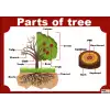 İngilizce Parts Of Tree Afişi