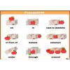 İngilizce Preposition Afişi 4