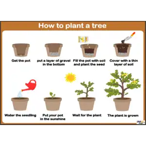 İngilizce How To Plant a Tree Afişi
