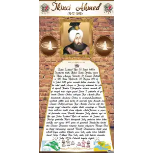 2. Ahmed Kapı Giydirme