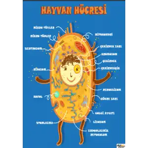 Hayvan Hücresi Afişi