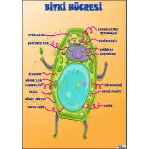 Bitki Hücresi Afişi