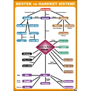 Destek ve Hareket Sistemi Afişi