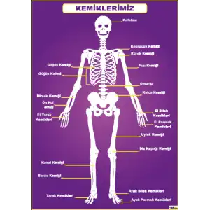 Kemiklerimiz Afişi