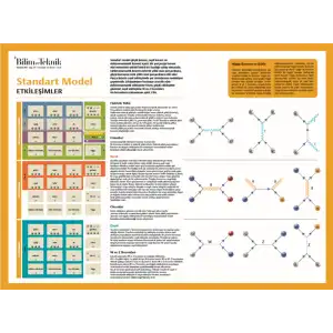 Standart Model (Etkileşimler) Afişi