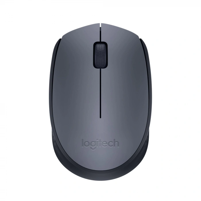 Logitech M170 910-004642 Optik Kablosuz Mouse