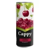 CAPPY MEYVE SUYU 250ML TNK VISNE