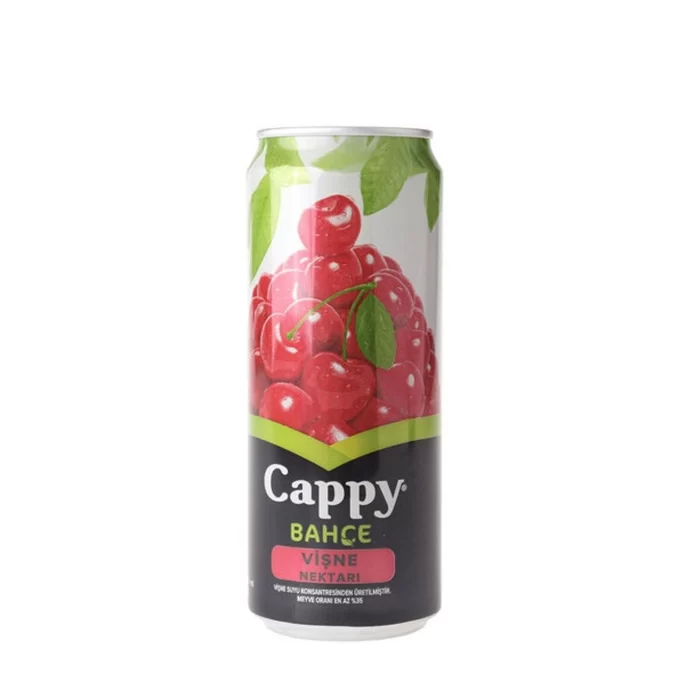 CAPPY VİSNE SUYU 330ML TENEKE