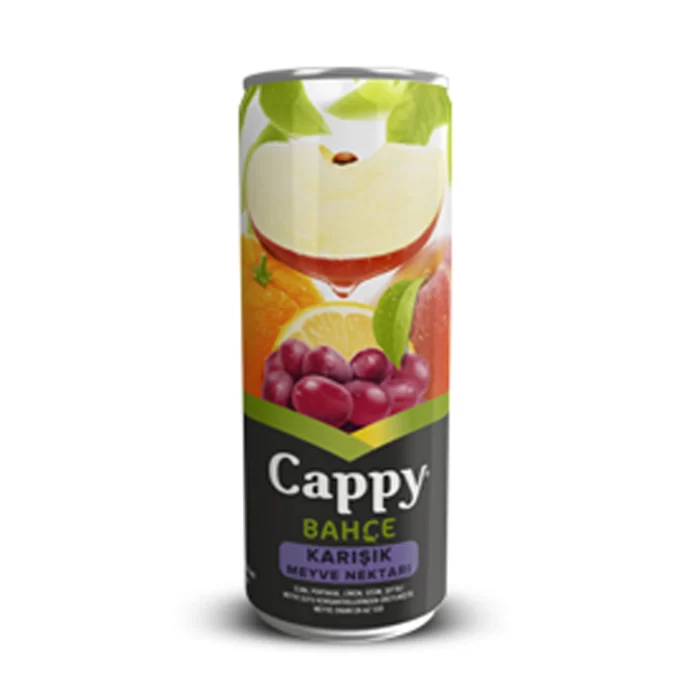 CAPPY MEYVE SUYU 330ML. KARISIK