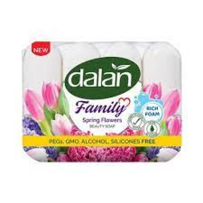 DALAN FAMILY 4*75GR. BAHAR CICEKLERI