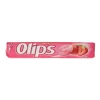 KENT OLIPS 28GR. CILEK