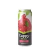 CAPPY VİSNE SUYU 330ML TENEKE