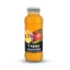 CAPPY MEYVE SUYU CAM 250ML %100 KARISIK