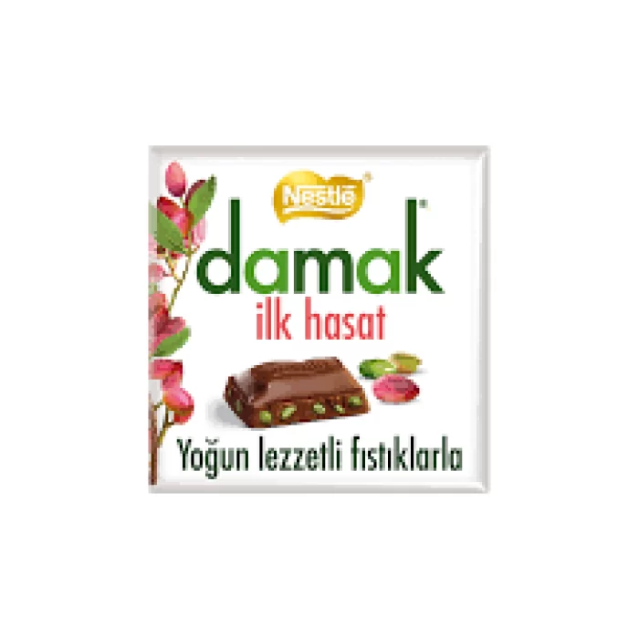 NESTLE DAMAK 60GR. ILK HASAT