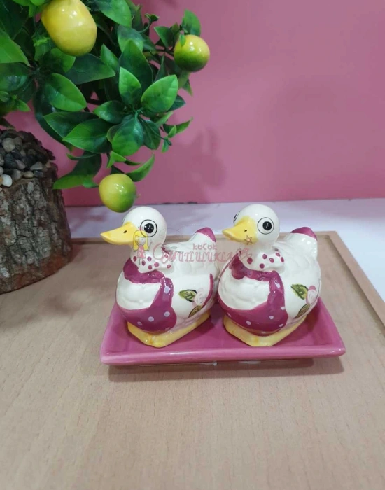 2Lİ STANDLI ÖRDEK FİGÜR TUZLUK