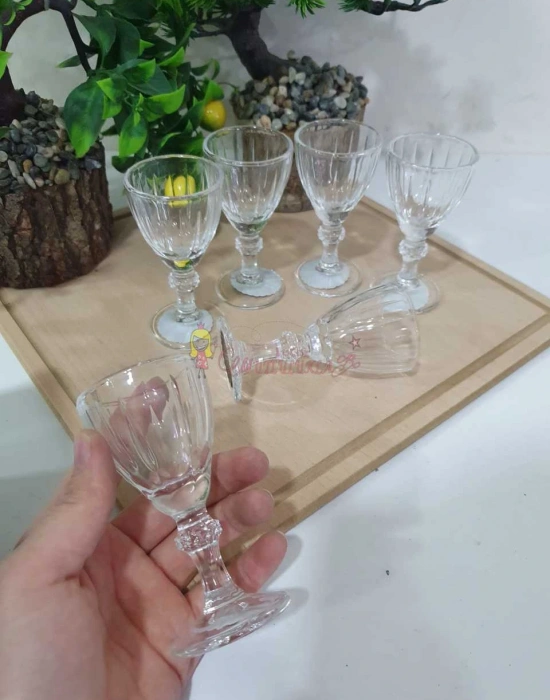 6LI PAŞABAHÇE SADE KAHVE YANI