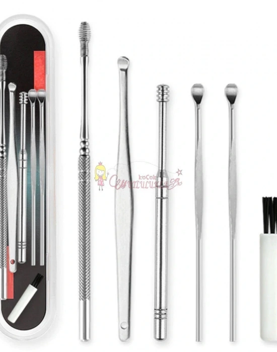 6 Parça Paslanmaz Çelik Kulak Balmumu Toplayıcı Çıkarıcı Temizleyici Bakımı Çubuk Seti