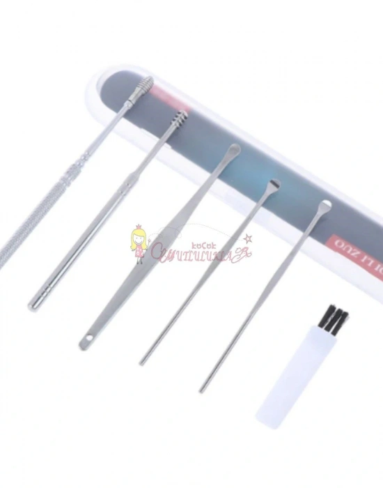 6 Parça Paslanmaz Çelik Kulak Balmumu Toplayıcı Çıkarıcı Temizleyici Bakımı Çubuk Seti