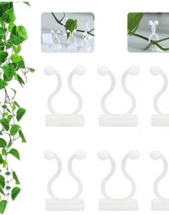 10Lu Şeffaf Bitki Sarıcı