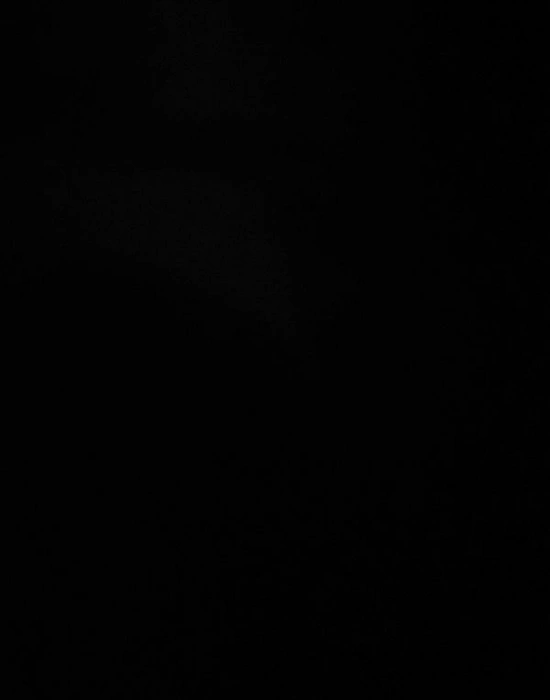 Streç Film Kesici 3Lü Bambu