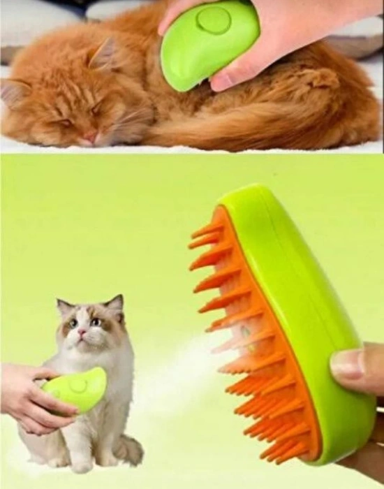 Buharlı Kedi Tarağı