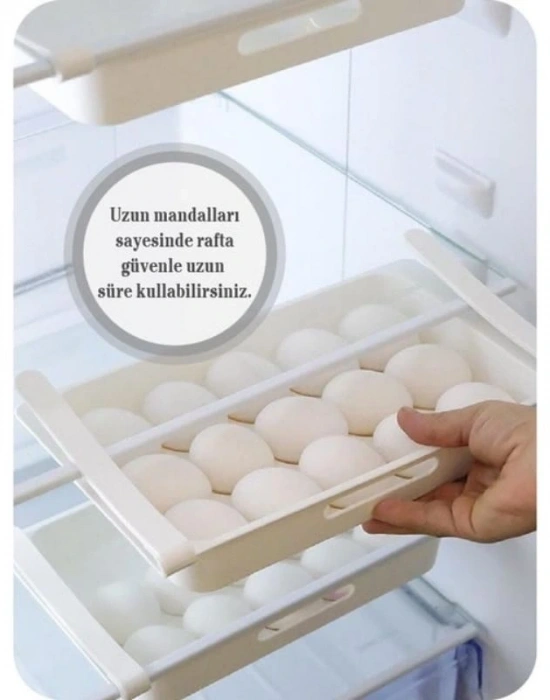 Beyaz Sürmeli Yumurtalık Rafa Takılan