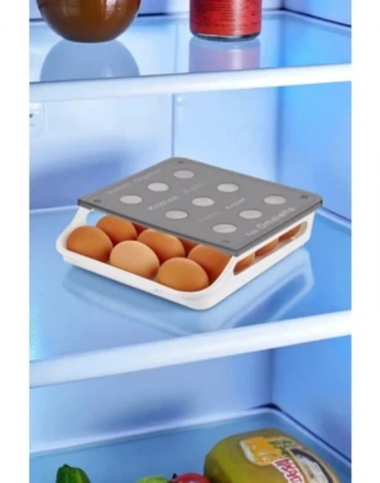 Gri Kapaklı Yumurtalık Tidy 15Li