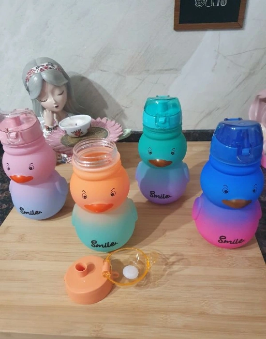 Ördek Şeklinde Matara