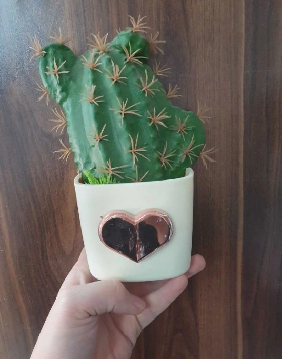 Kaktüs Dekoratif Süs