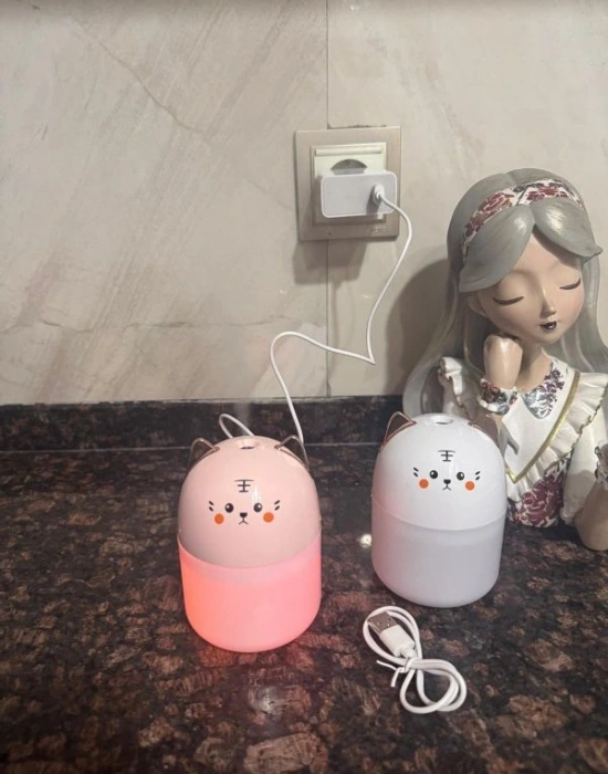 Hava Nemlendirici Kedi Ayı Model