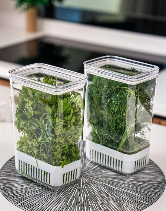 Yeşillik Saklama Kabı Süzekli