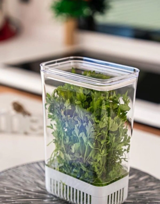 Yeşillik Saklama Kabı Süzekli