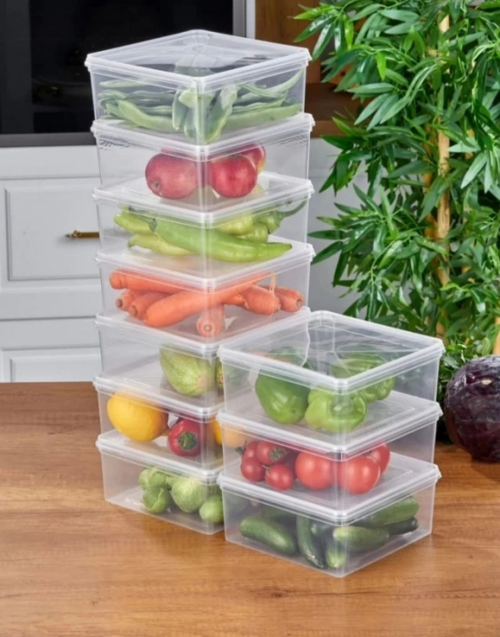 Kare Buzluk Kabı 2.5 L