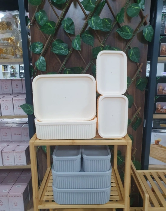 Valent 4Lü Saklama Kabı Düzenleyici 2 ADET 3000ML 2 ADET 1250ML Krem - Gri