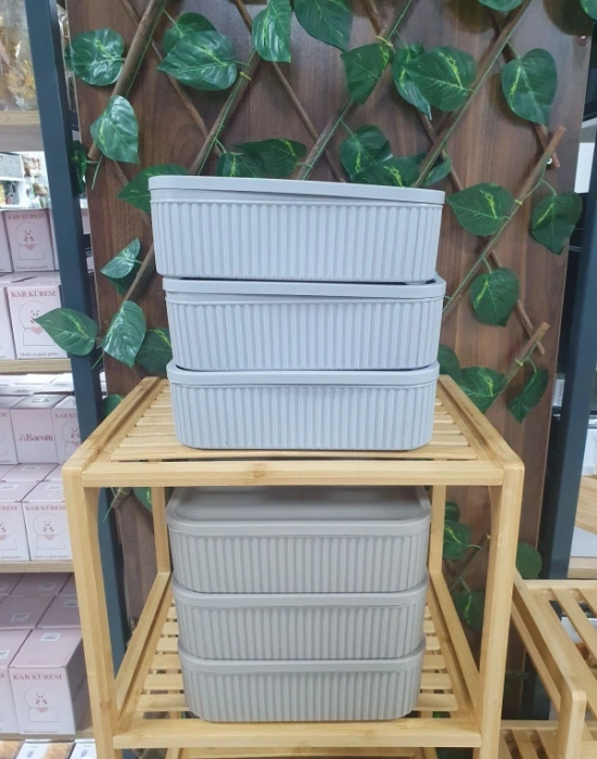 Roma 3Lü Saklama Kabı Düzenleyici 3000ML  Vizon Gri