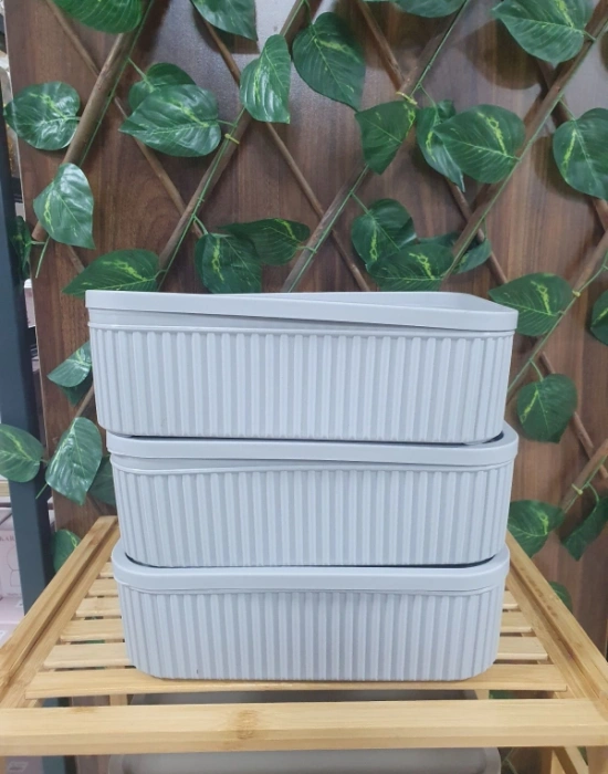 Roma 3Lü Saklama Kabı Düzenleyici 3000ML  Vizon Gri