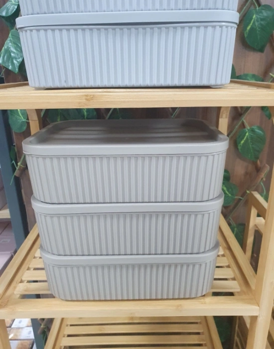 Roma 3Lü Saklama Kabı Düzenleyici 3000ML  Vizon Gri