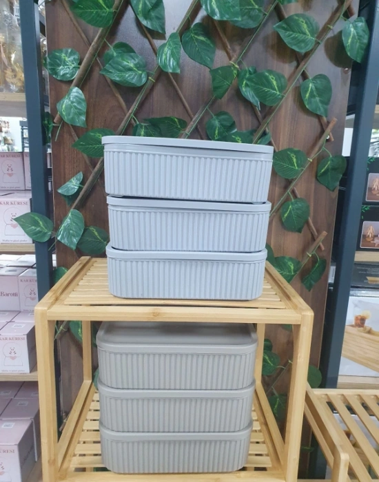 Roma 3Lü Saklama Kabı Düzenleyici 3000ML  Vizon Gri