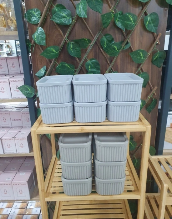 Roma 6Lı Saklama Kabı Düzenleyici 1.250ML Gri Vizon Renk