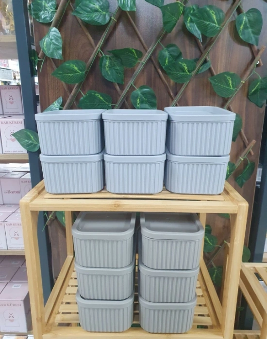 Roma 6Lı Saklama Kabı Düzenleyici 1.250ML Gri Vizon Renk