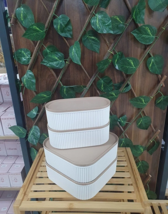 4Lü Multi Saklama Kabı 2 Kare 2 Oval Takım