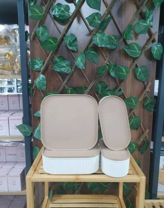 4Lü Multi Saklama Kabı 2 Kare 2 Oval Takım