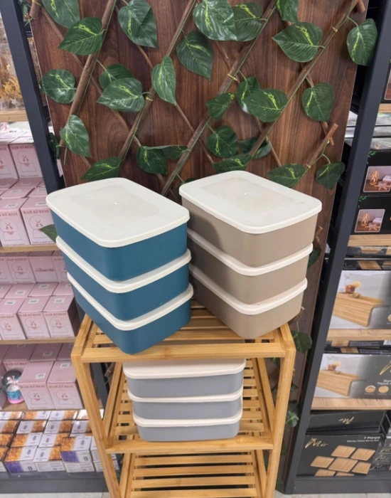 Nero 3Lü Düzenleyici Kutu 2.5 Litre Saklama Kabı