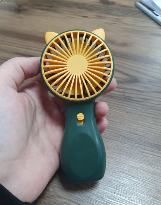 Işıklı El Fanı Mini