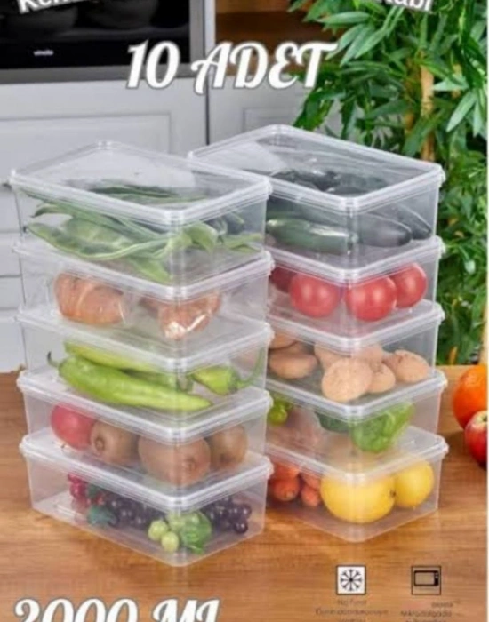 T. 2 Litre Buzluk Saklama Kabı 10 ADET