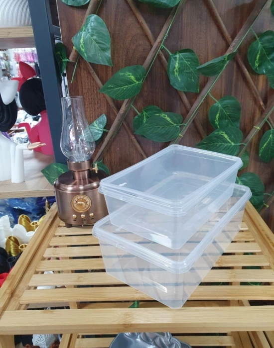 T. 2 Litre Buzluk Saklama Kabı 10 ADET