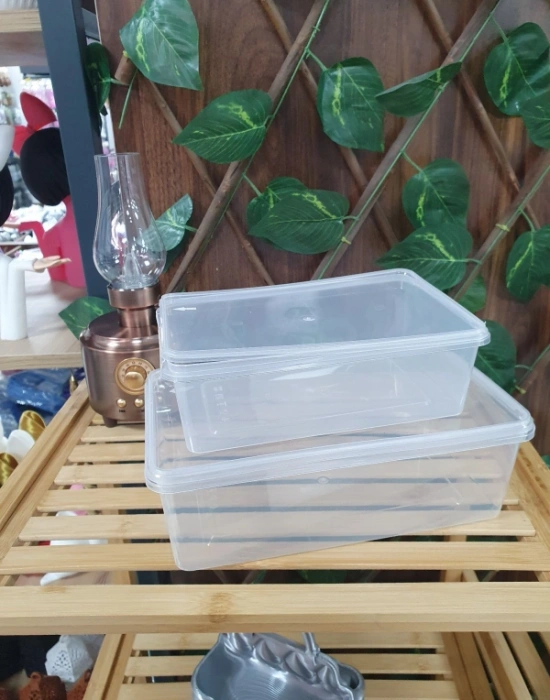 T. 2 Litre Buzluk Saklama Kabı 10 ADET