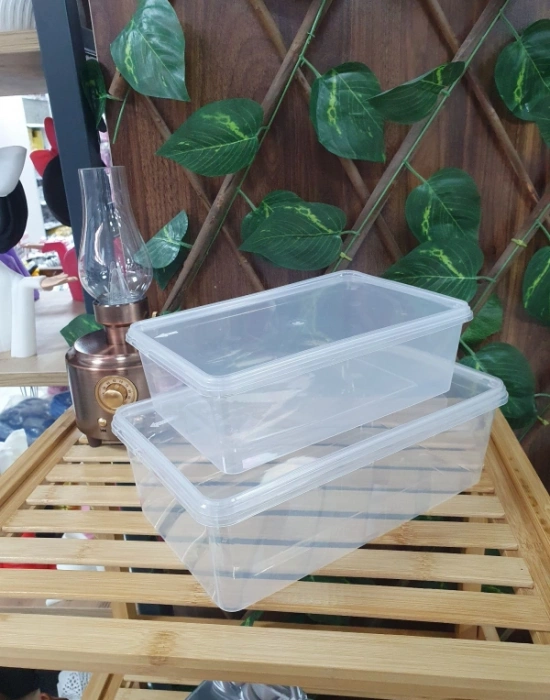 T. 1 Litre Buzluk Saklama Kabı 10 ADET