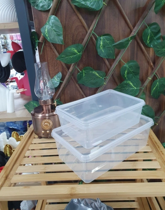 T. 1 Litre Buzluk Saklama Kabı 10 ADET